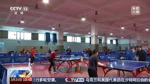 美加墨世界杯官网 乒乓球台是啥木料的